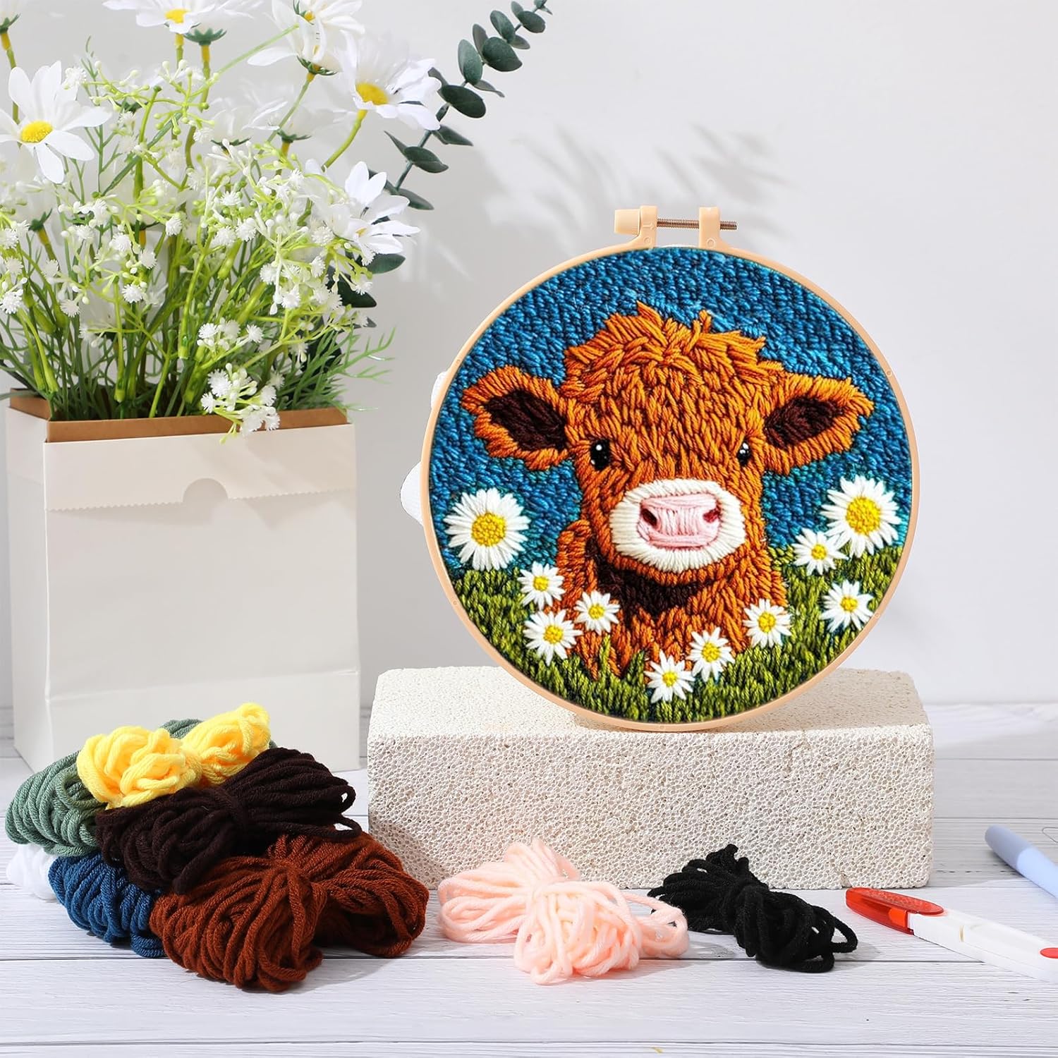 CHENISTORY Punch Needle Kit fo - Embroidery Converter recension och pris